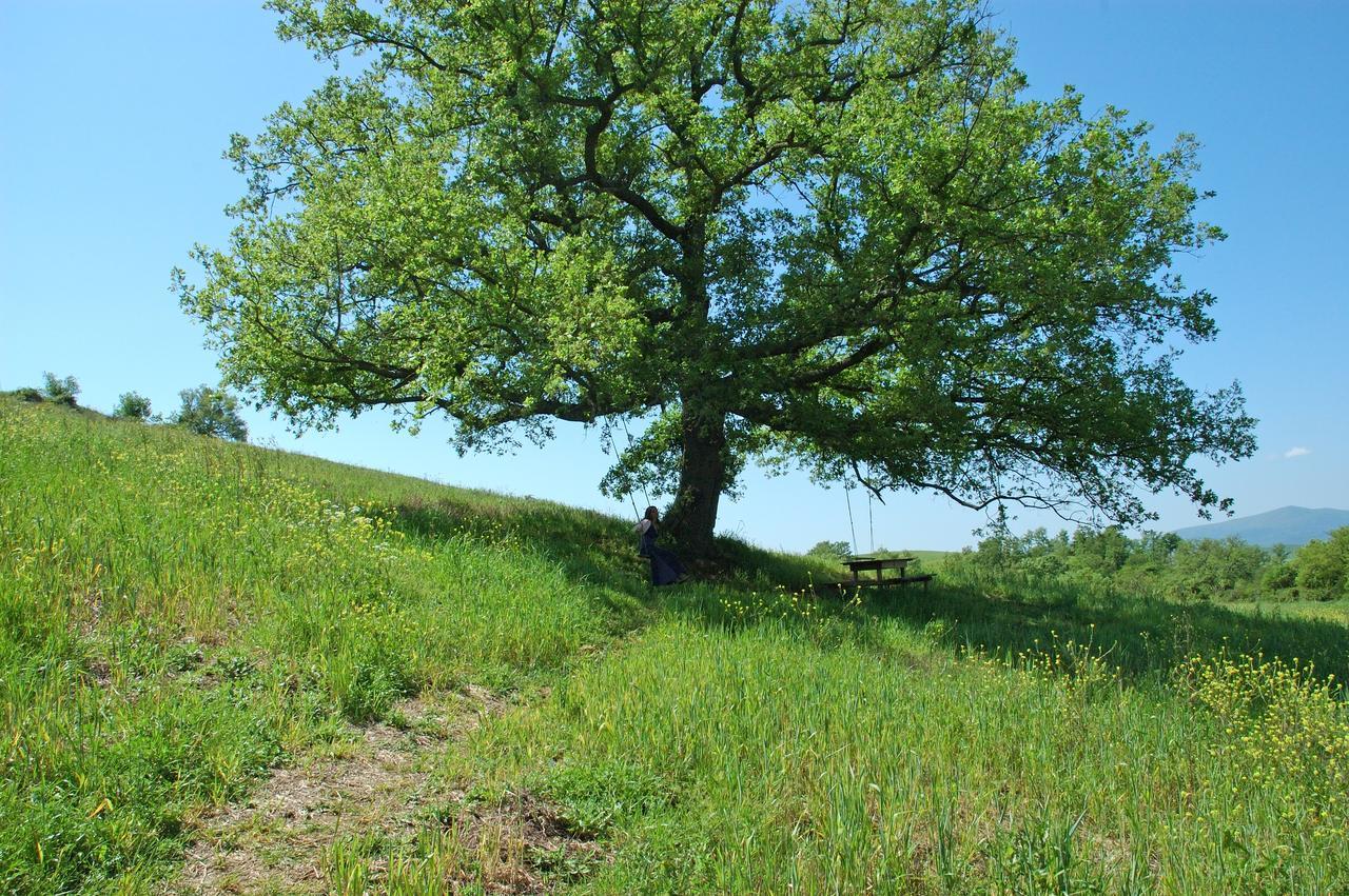 Podere Santa Maria Monte Antico المظهر الخارجي الصورة